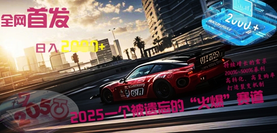 全网首发：2025一个被遗忘的“火爆”赛道轻松日入多张 - 轻创终点站