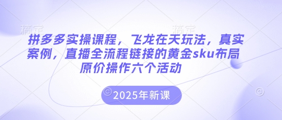 拼多多实操课程，飞龙在天玩法，真实案例，直播全流程链接的黄金sku布局原价操作六个活动 - 轻创终点站