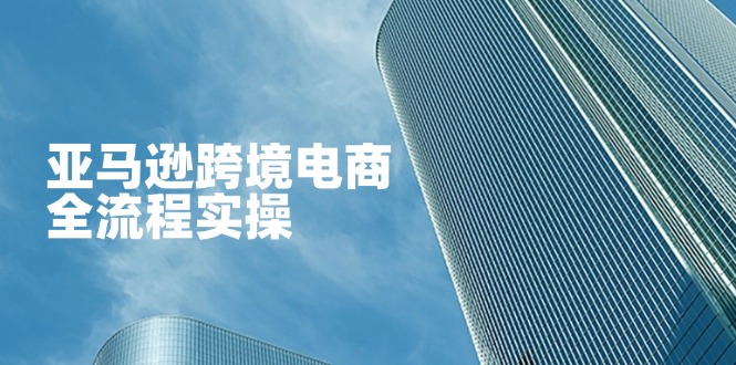 （14252期）亚马逊跨境电商全流程实操，教你从零开始，掌握店铺运营与广告技巧 - 轻创终点站