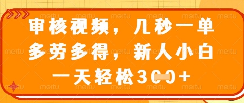 最新审核视频，几秒一单，多劳多得，新人小白一天轻松3张【揭秘】 - 轻创终点站