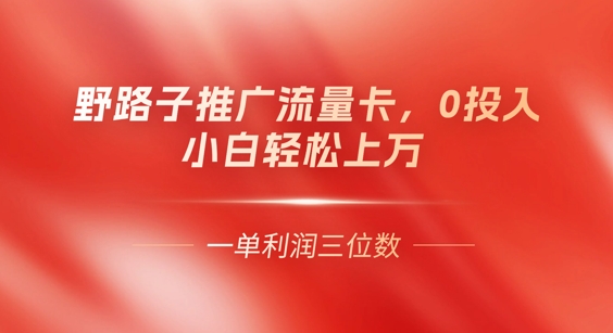 0门槛推广流量卡，一单收益上百，0投入，小白月入过W - 轻创终点站